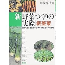 新野菜つくりの実際 果菜: 誰でもできる露地・トンネル・無加温